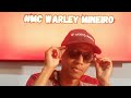 vibe do meu som - MC Warley mineiro