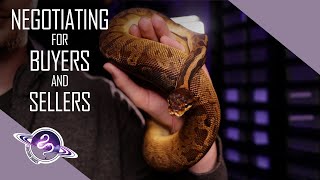 Famous Negotiating Ball Pythons for Buyers and Sellers | Ball Python Business Tips Wealth