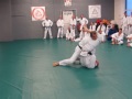 Ryron Gracie teaching at Stockport Gracie Jiu Jitsu