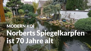 With Norbert at his 150,000 liter super jumbo pond | Modern Koi Blog #6601