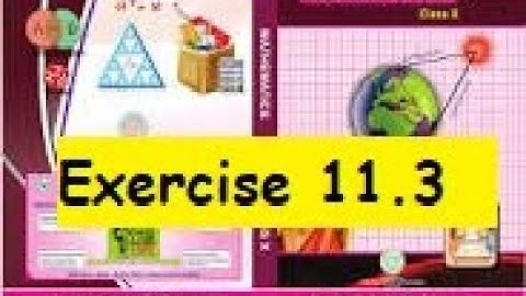 10th Class Maths Exercise 11.3 (Trigonometry) Telangana State