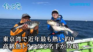 【釣り百景】#637 東京湾で近年最も熱い釣り 高級魚トラフグを名手が攻略