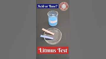 🧼 Soap Solution Litmus Test | Is It Acidic or Basic? #experiment #chemistry #scienceexperiment