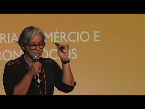 Vídeo: Designer De Cidades: Ideias E Cidades