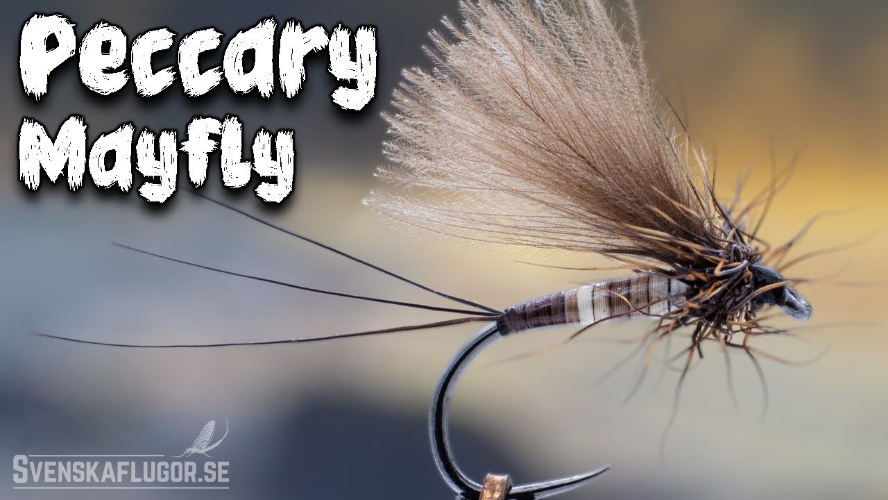 Peccary Mayfly | Flugbindning | Svenskaflugor.se