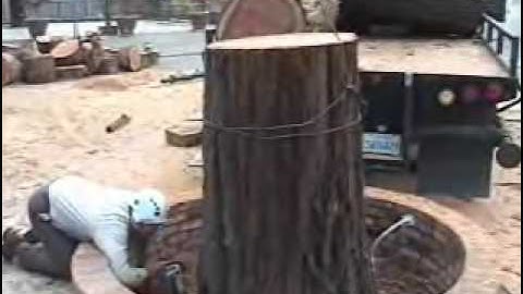 (32) Redwood removal NO DROP ZONE