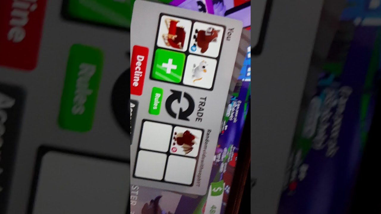 Trading are pets YouTube