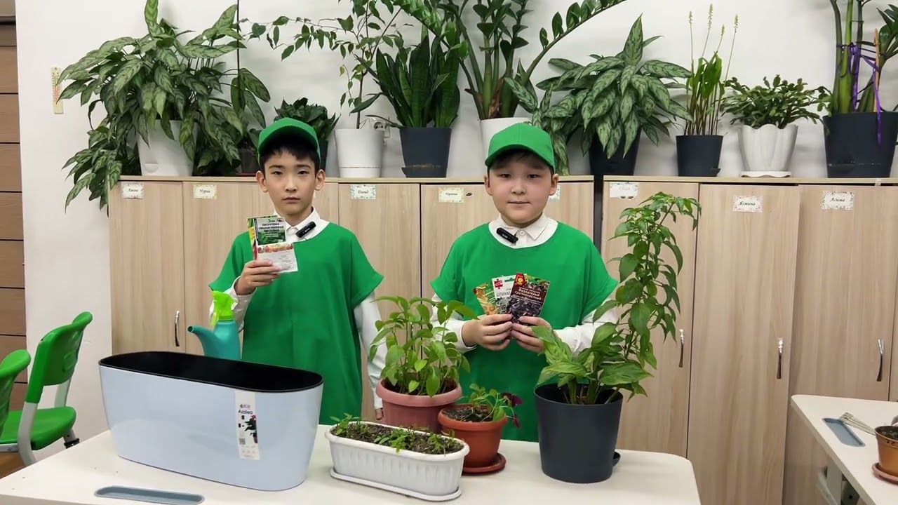 Тараз қаласы, Мәртебе Тараз мектеп гимназиясының 5«А» сынып оқушылары