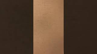 Homewood Suits Room Tour (Southington CT)