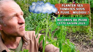 Records de pluie et plantation des tomates... La galère ?! 🥴