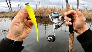 Cold Front Tidal Creek Fishing For Whatever Bites! (Jigs & Live Shrimp)