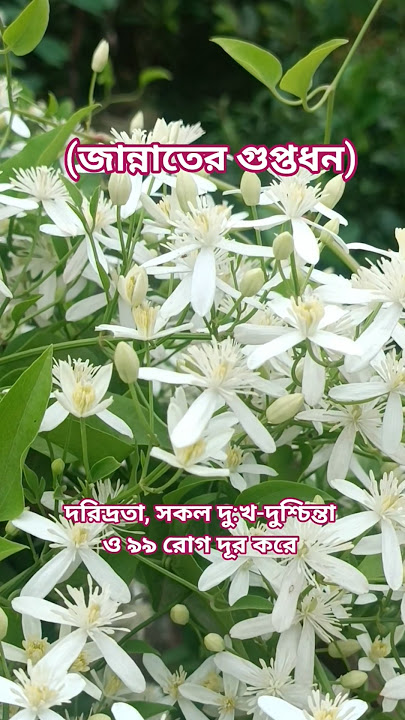 La Hawla wa la quuata illa billah.#foryou #islamicshorts #youtubeshorts #lahawlawalaquwwataillabill