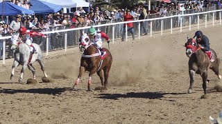 Carreras de Caballos Santa Ana 04 Febrero 2024