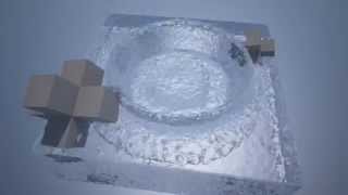 Realflow 2014 Meshing and Maxwell Render
