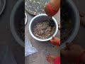 #minivlog #food #shortvideo #surkhet #cooking # अर्गानिक बाको😍😍