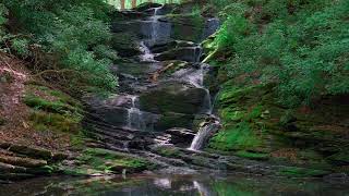 I found a waterfall lagoon in the forest, relax near this dark forest waterfall, 10 hours 4k relax