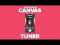 Introducing the walrus audio canvas tuner