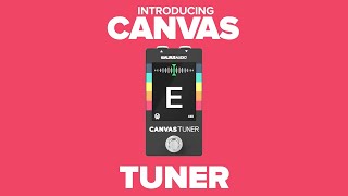 Introducing the Walrus Audio Canvas Tuner