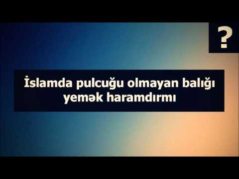 Video: Balıq içir ya yox? Elm nə deyir?