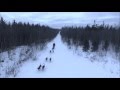 Mushing through a Winter Wilderness - Drone flight