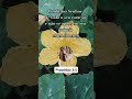 Deixa - Maria Marçal