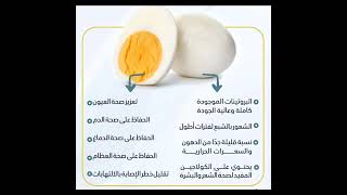 كم بيضه نأكل يوميا ?وأيهما أعلى بالسعرات الصفار ام البياض??#healthylifestyle #egg #shorts