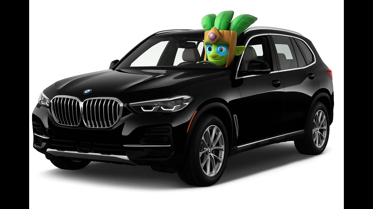 Pushvideo in BMW X5!!!