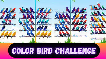 Color Bird Sort Puzzle Game  Challenge Gameplay Level 61 To 70