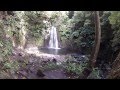 Trilho pedestre do sanguinho  amazing azores  hiking trails  nature  trilhos  so miguel