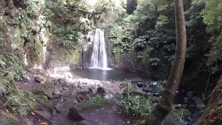 Trilho Pedestre do Sanguinho - Amazing Azores - Hiking trails - Nature - Trilhos - São Miguel