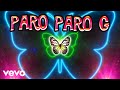 DJ Sandy - Paro Paro G lyric
