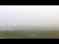 Dense fog advisory in Kentucky disrupts traffic amid reduced visibility