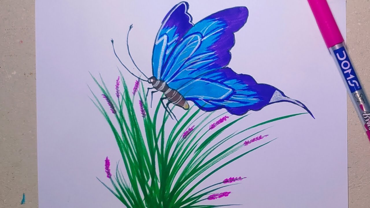 butterfly-drawing-easy-beautiful-butterfly-drawing-brush-pen