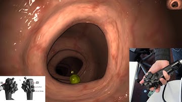 EndoSim Fundamental Endoscopy Skills 1: Button Handling with Hand Coordination