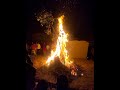 Holika Dahan Status || Holika Dahan status video || Holika Dahan Status video 2022 || #holikadahan