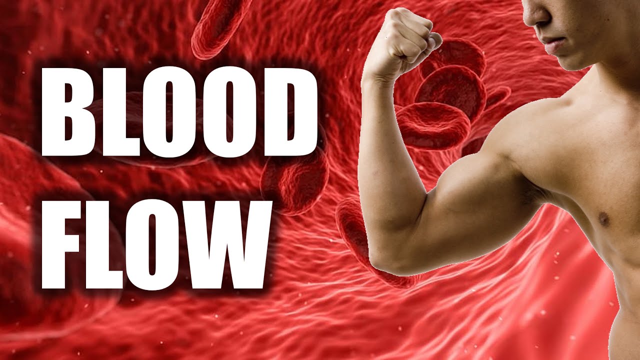 Blood flow the key to muscle growth? YouTube