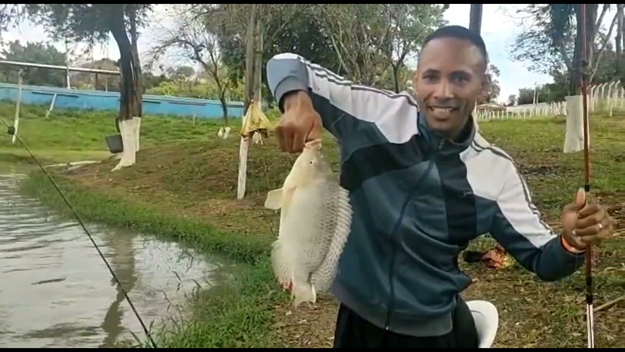 Como fazer massa de pesca com água de alho, pega tudo. Foi testada em pesqueiro na pesca de tilápia.