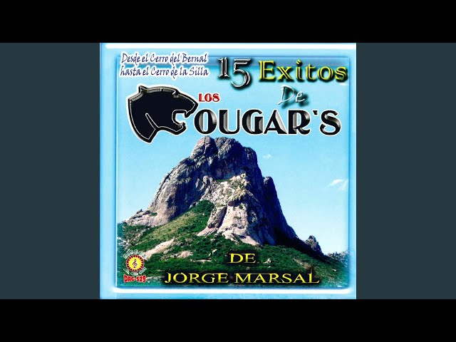 Los Cougar's - Triangulo
