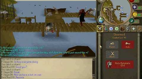 Bot caught on cam (Runescape)