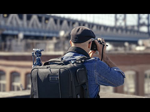 Tenba Roadie v2 Backpack Straps | Carry Your Camera Gear Anywhere