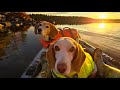 🌅 Dog Therapy Sunset Kayak with Our Beagles | Peaceful Fall Evening on the Lake
