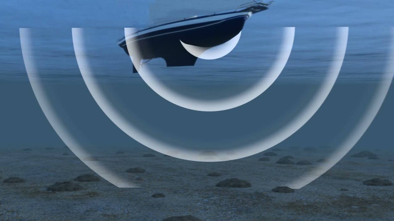 Unterwasserlärm: Hat der Ostsee-Schweinswal noch eine Chance?