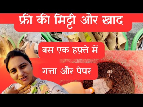 कार्डबोर्ड को कचरा मत समझो!🛑इसे इस्तेमाल कर बनाएं फ्री में शानदार मिट्टी💰How to Make Organic Soil 