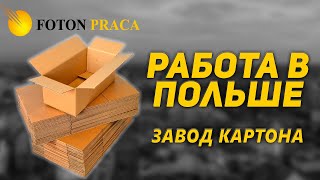 Работа в Польше для всех. 🇵🇱 Завод картона. Збоншинь.