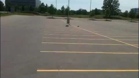 Robomagellan robot racing