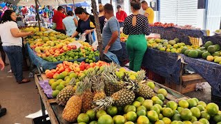 40 BANANAS É R$ 3,00 NAS FEIRAS DO NORDESTE. OLHA ISTO BRASIL!