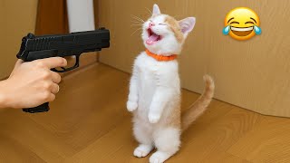 картинка: Попробуй не засмеяться 😂 Самые смешные животные 😹🐶 Часть 14
