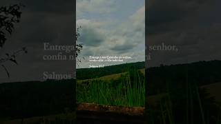 #motivationhub #travelshorts #curtecomentacompartilha #motivacional