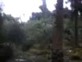 الشوالحه بستان المرحوم منصور علي الشولحي تحياتي ناصف الشولحي 