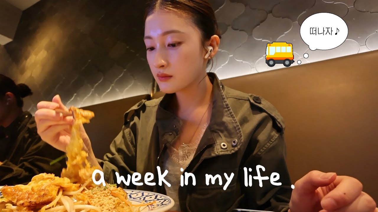 [vlog] 일상브이로그 | 연휴에 속초 여행 | 속초 맛집 투어 | 육구방앗간 웨이팅 | 첫 수업 홍보 영상 찍기 | 온브릭스 사과(+꿀조합 요거트 레시피) | 합정 심플리타이